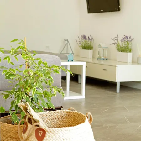 Sania Villa Bol