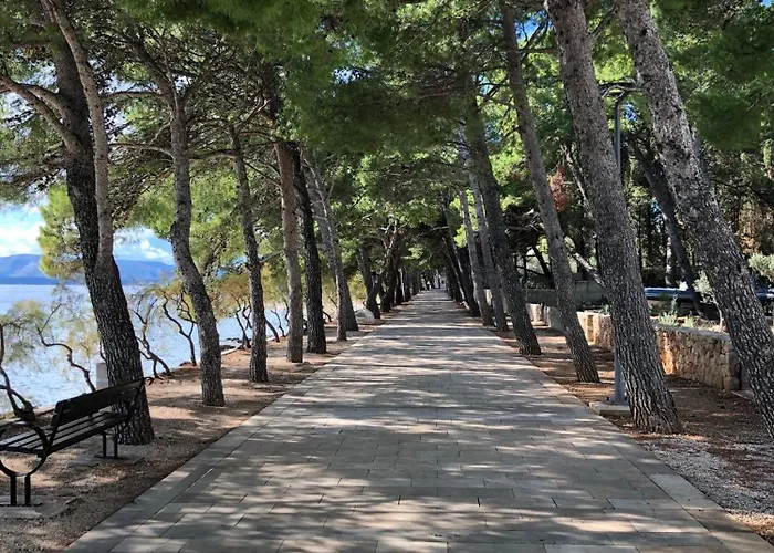 Sania Вилла Бол